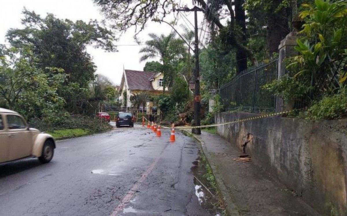 Árvore caiu na avenida Barão do Rio Branco durante as fortes chuvas que caíram em Petrópolis - Divulgação/Defesa Civil
