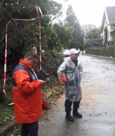 Defesa Civil trabalhou intensamente nas &uacute;ltimas 24h para atender as ocorr&ecirc;ncias causadas pelas chuvas - Divulga&ccedil;&atilde;o/Defesa Civil