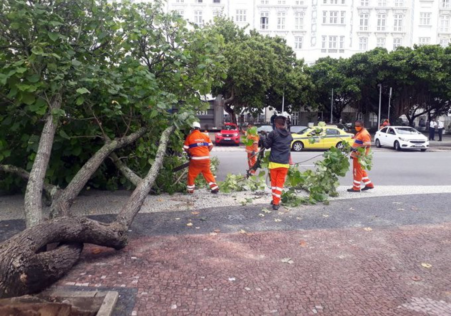 Queda de árvore na Av. Atlântica, na altura do Copacabana Palace - Divulgação / COR
