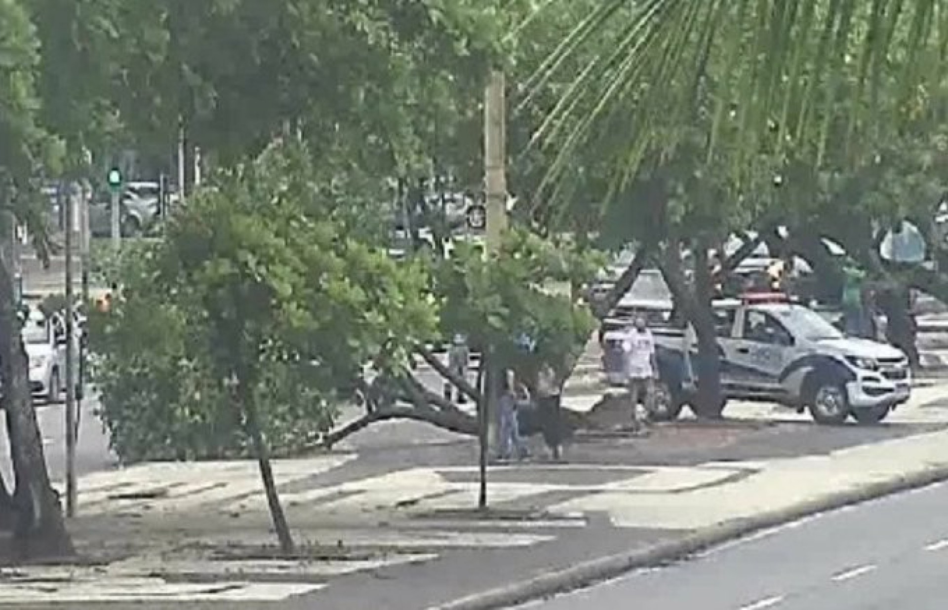 Queda de árvore na Av. Atlântica, na altura do Copacabana Palace - Divulgação / COR