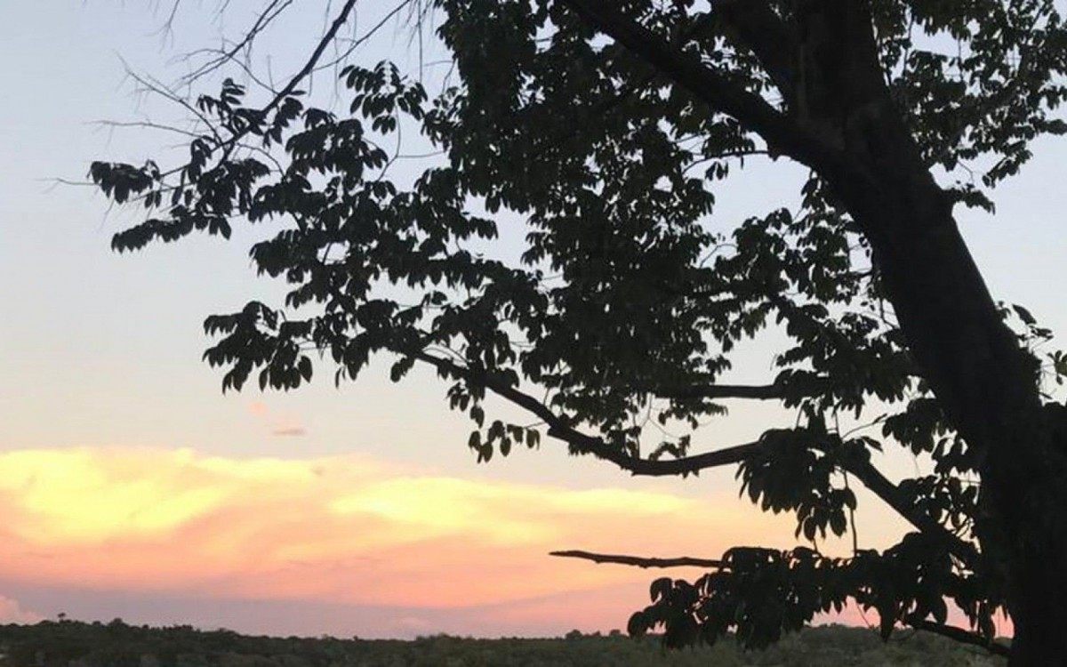 Poranduba, Amazônia - Bruno Mangolini/Poranduba Amazônia/Direitos Reservados