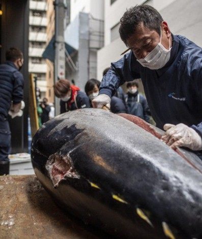 Kiyomura Corp disse que não fez lances altos este ano por medo de que um grande número de clientes quisessem ir a seus restaurantes, já que lances altos por atum de alta qualidade costumam atrair a atenção da mídia 