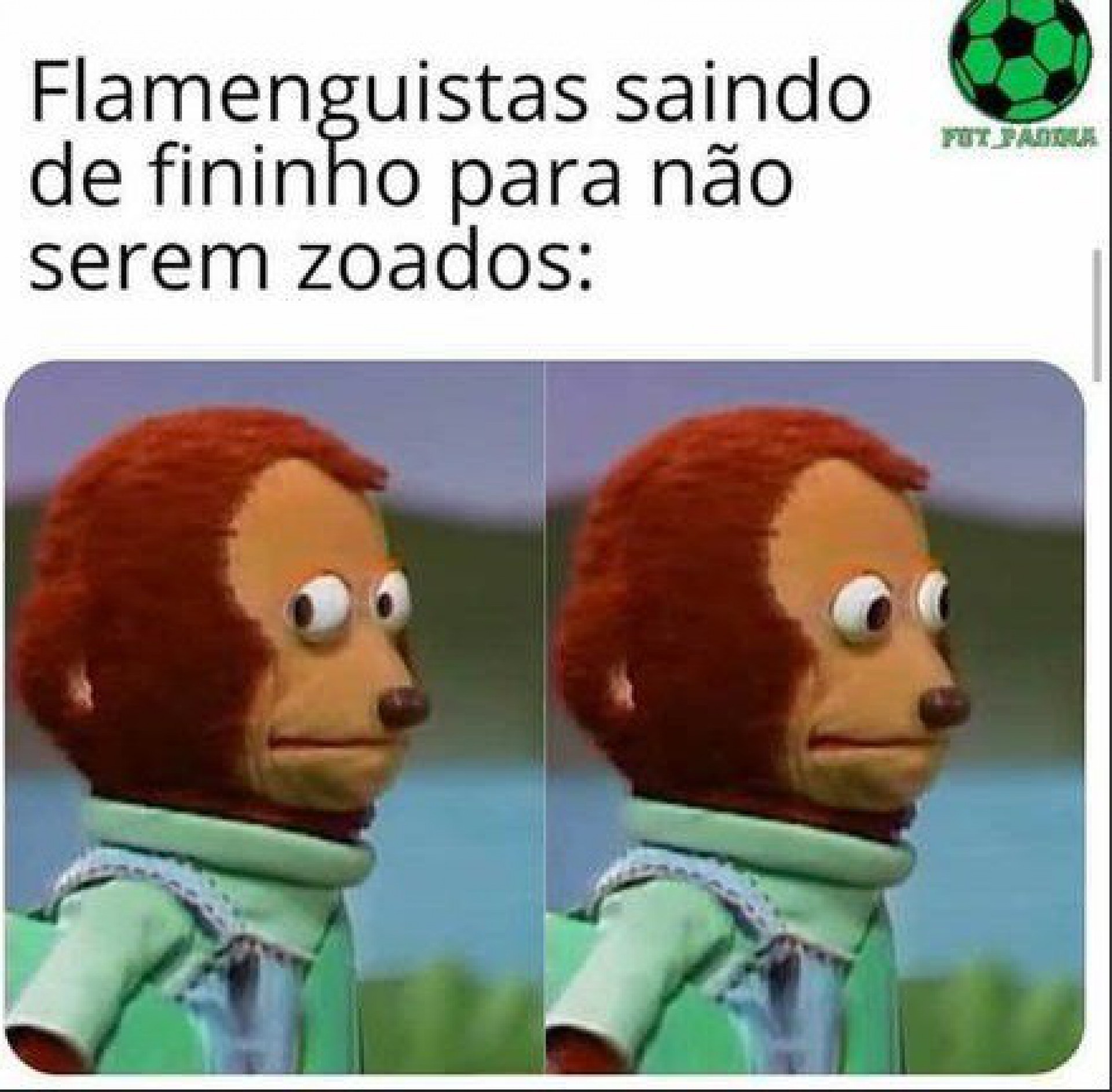 Memes: Fluminense derrotou o Flamengo - Reprodução
