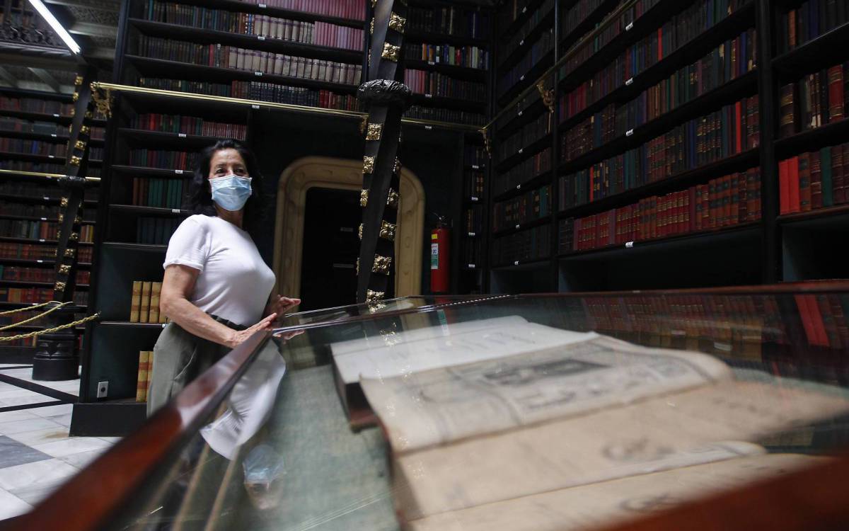 O mundo m&aacute;gico dos livros &eacute; o local de trabalho da bibliotec&aacute;ria Vera L&uacute;cia de Almeida, de 68 anos, h&aacute; 26 no Real Gabinete Portugu&ecirc;s de Leitura, inaugurado em 1837, no Centro do Rio