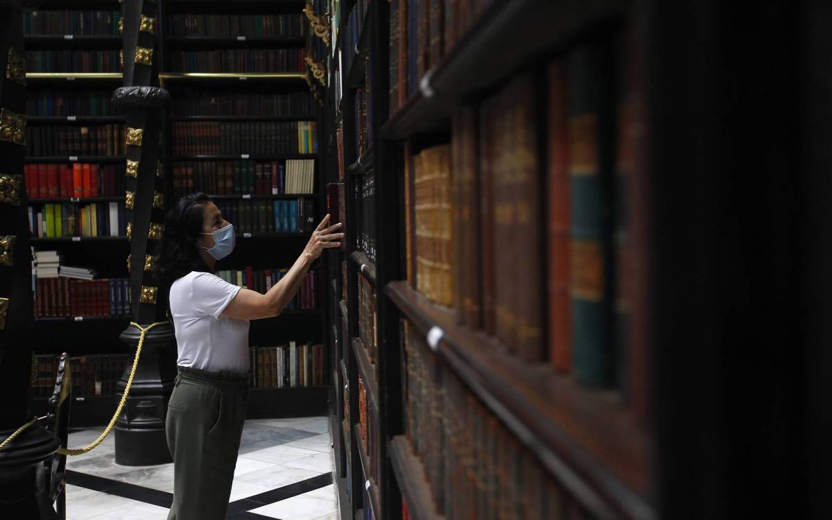 O mundo m&aacute;gico dos livros &eacute; o local de trabalho da bibliotec&aacute;ria Vera L&uacute;cia de Almeida, de 68 anos, h&aacute; 26 no Real Gabinete Portugu&ecirc;s de Leitura, inaugurado em 1837, no Centro do Rio