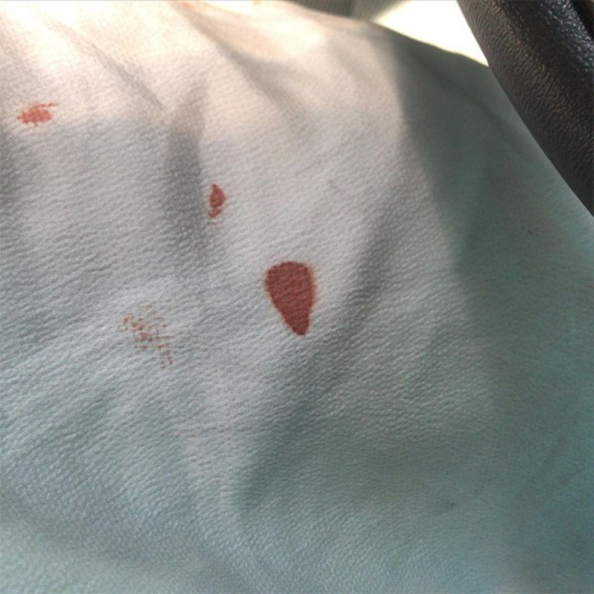 Ex-namorada de Darlan Cunha, o Laranjinha, o acusa de agressão nas redes sociais - Reprodução Internet