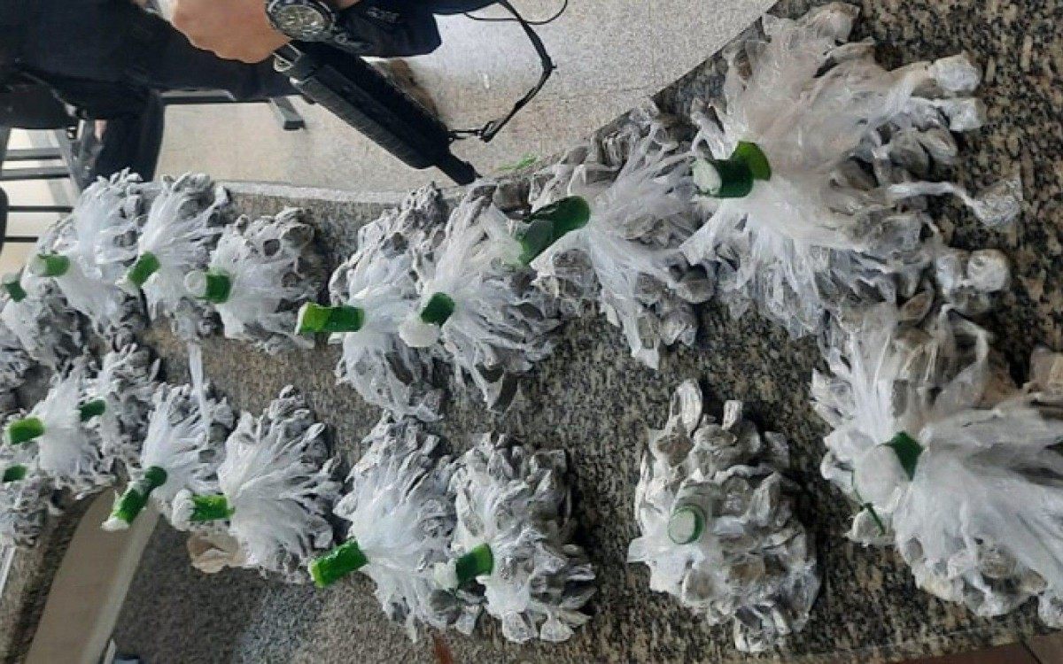 Informações anônimas que levem a Policia a apreensões ou prisões podem ser passadas ao Disque Denúncia do Noroeste pelo telefone WhatsApp (22) 9.9980-1177. - Foto: divulgação