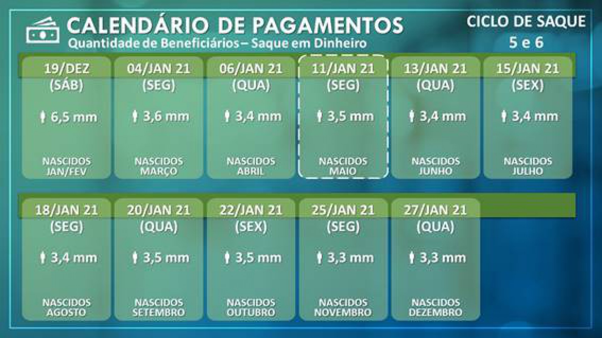 Calendário de pagamentos saque em espécie, dos ciclos 5 e 6 - Divulgação