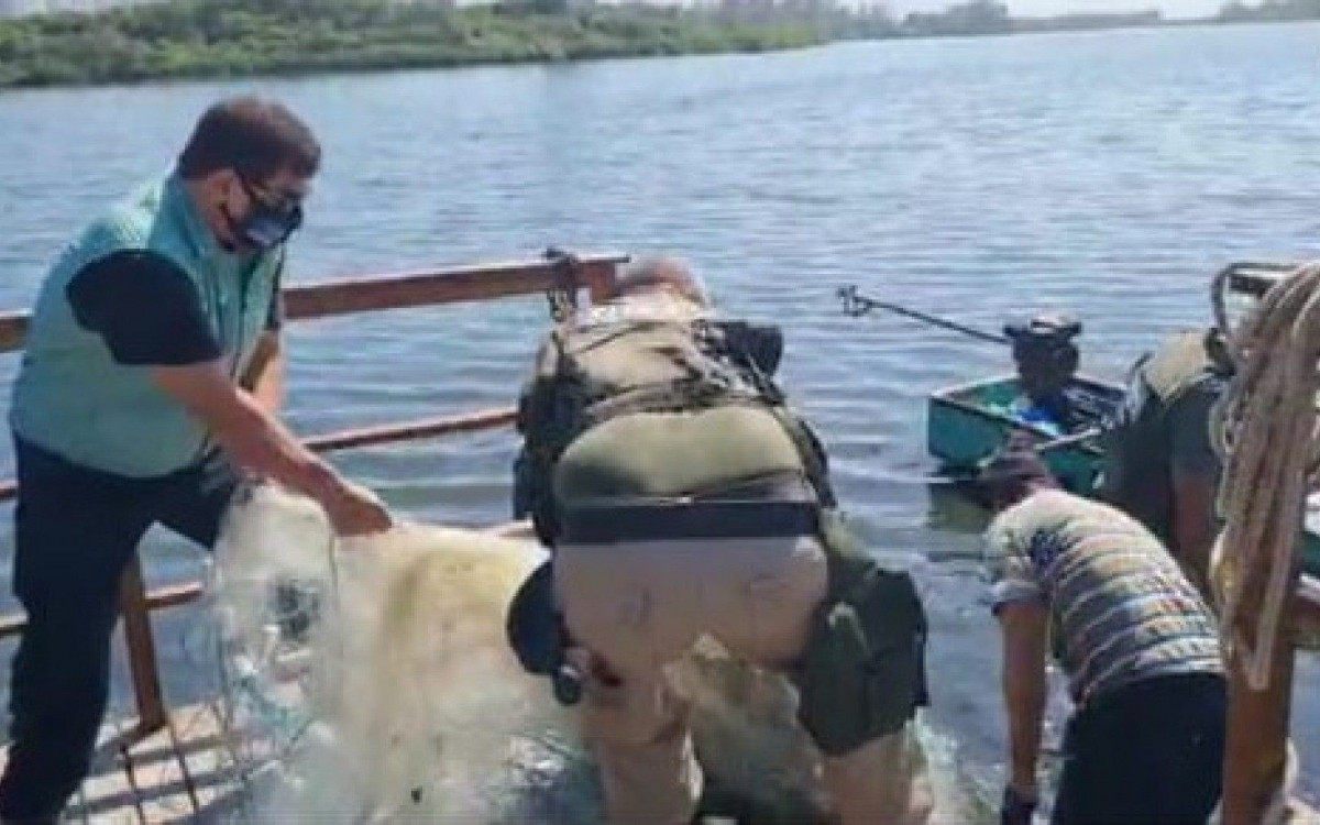 Rede de captura predatória de peixes foi apreendida pela Fiscalização Ambiental
 - Foto: Divulgação / Secretaria Municipal de Meio Ambiente do Rio