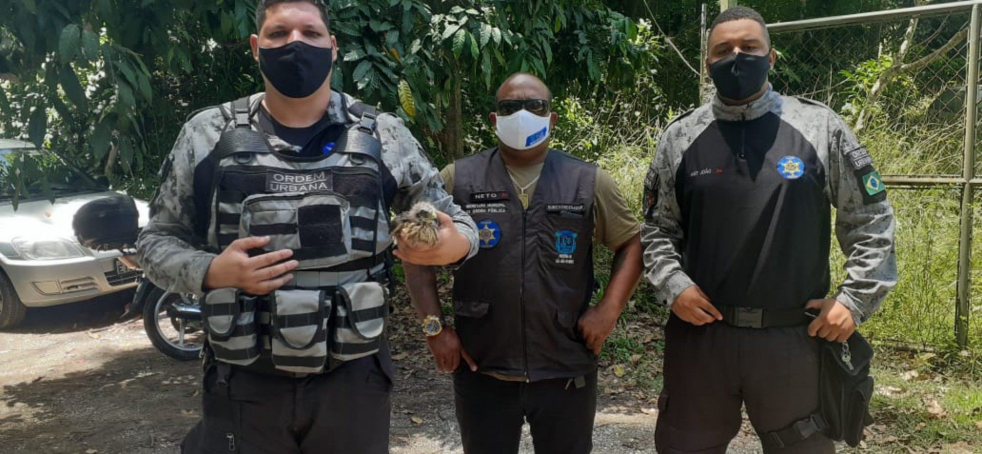 A ave foi encaminhada ao Centro de Triagem de Animais, em Serop&eacute;dica - Divulga&ccedil;&atilde;o