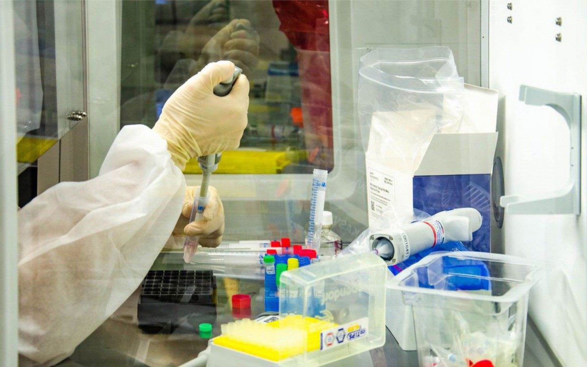 Brasil bateu recorde de n&uacute;mero de mortes por covid em um dia, com mais de 1.500 &oacute;bitos - Itamar Crispim/Fiocruz