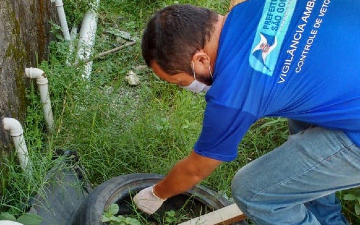 Segundo Adaly Fortunato, diretor da Vigilância Sanitária, os agentes visitaram 1.364.692 imóveis no ano passado em ação anti-dengue - Divulgação