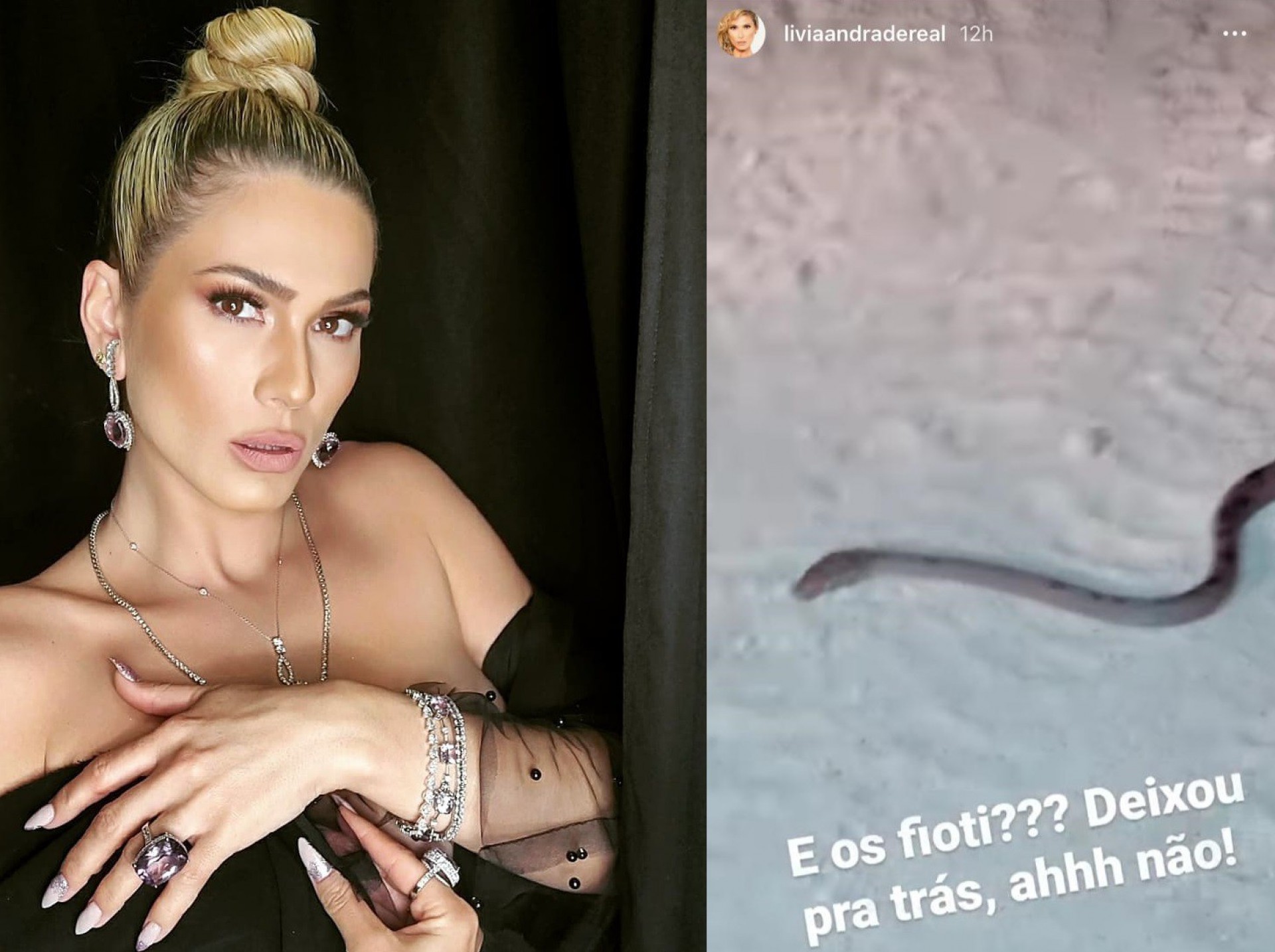 Lívia Andrade conversa com cobra e seguidores veem indireta a Pétala Jornal  MEIA HORA - Celebridades e TV