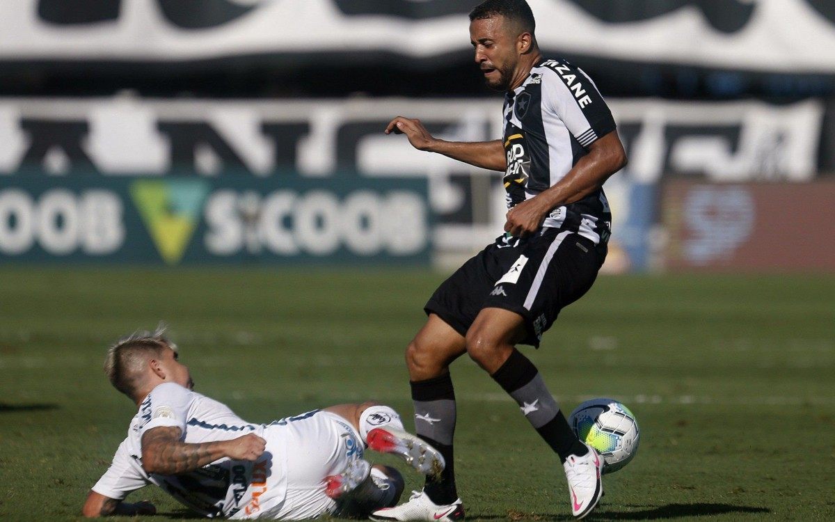 Botafogo Luta, Mas é Superado Pelo Santos E Permanece Na Lanterna Do ...