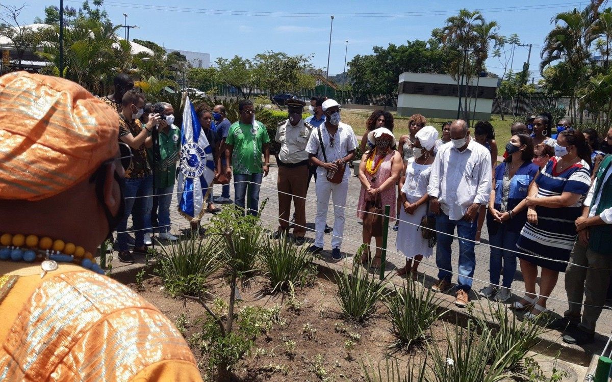 Prefeitura realiza ato ecum&ecirc;nico no baob&aacute; do Parque de Madureira, Zona Norte do Rio - Divulgação/SMAC