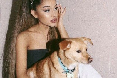 Pet dos famosos: conheça os cães chiques de Ariana Grande