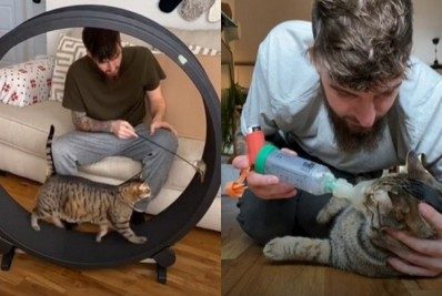 Veja o drama de um gato asmático que luta pela vida