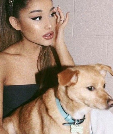 A cantora Ariana Grande e Toulouse - Reprodu&ccedil;&atilde;o