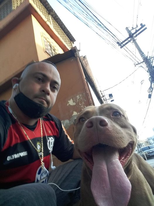 Vigilante de banco suspeito de integrar o tráfico de drogas em comunidade da Tijuca é preso