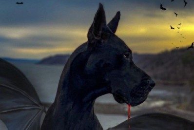 É um homem? Um avião? Não! Conheça o Super BatCão