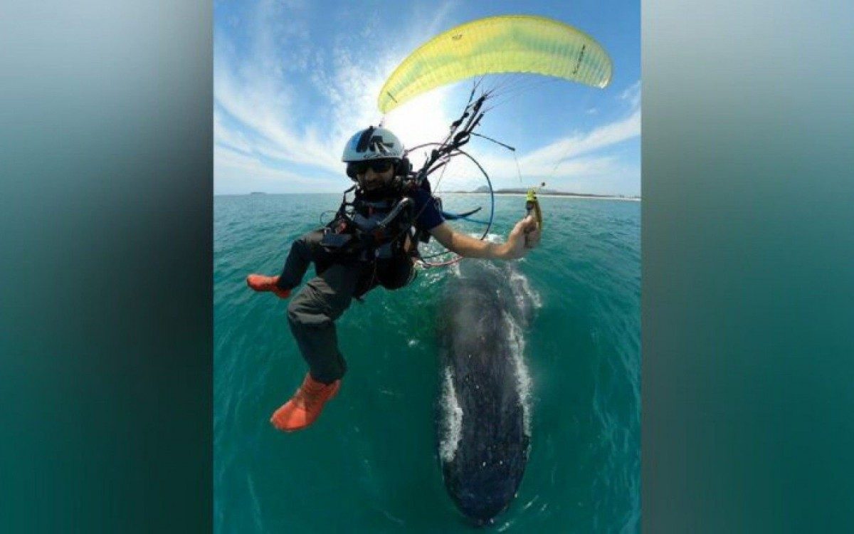 Encontro com 2 baleias jubarte no mar de Maricá - Foto: Daniel Alexandre Rodrigues 