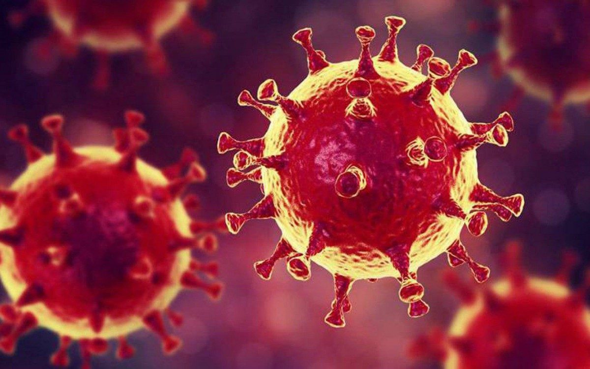 Boletim desta ter&ccedil;a-feira, dia 09, sobre a covid-19, em Meriti - Reprodu&ccedil;&atilde;o