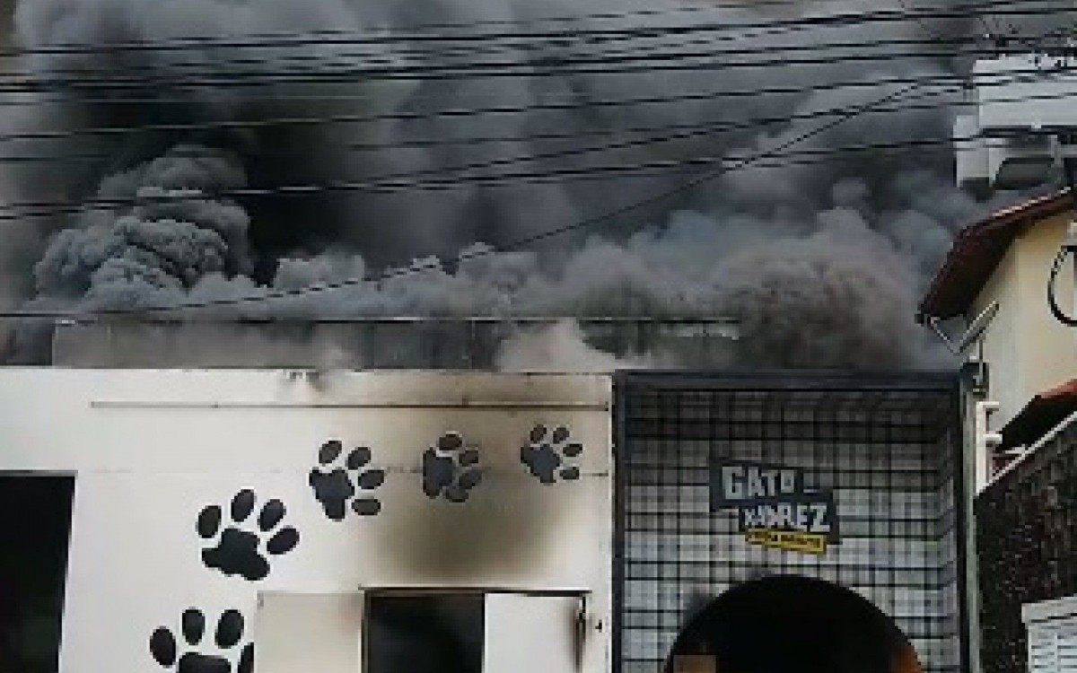 Incêndio atinge casa de festas Gato Xadrez em Itaipu - WhatsApp O DIA