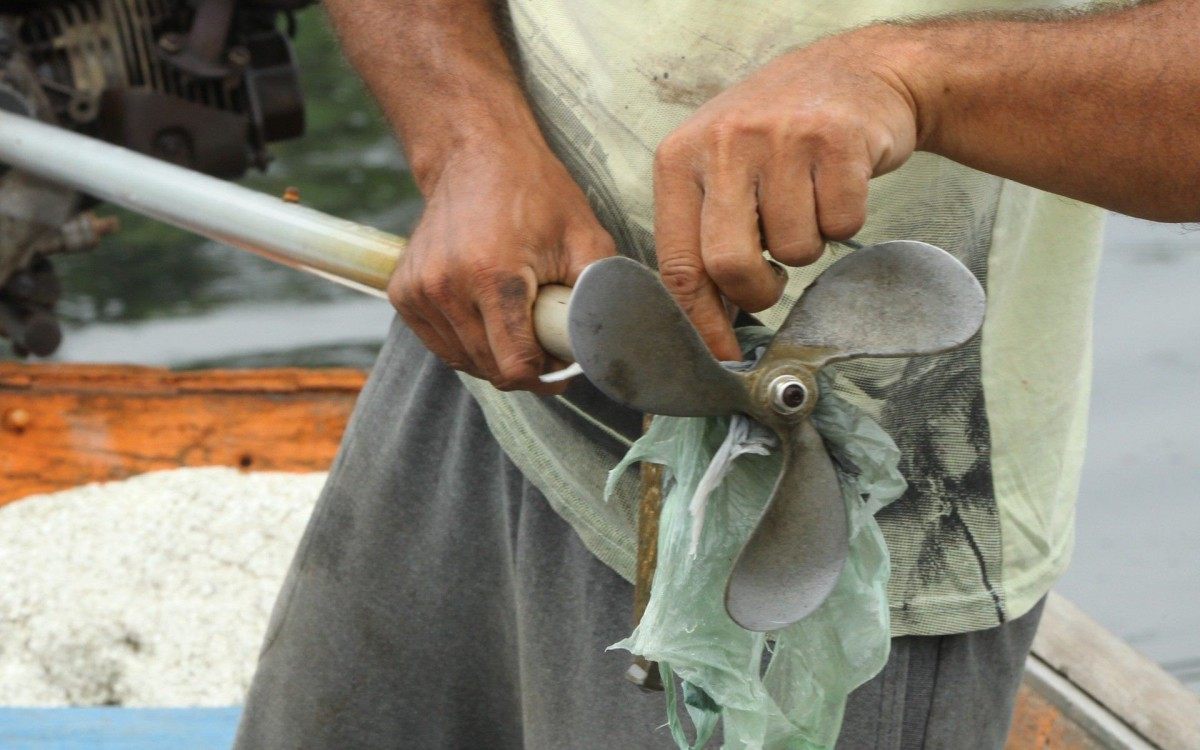 Amostras da água do rio foram coletadas pela equipe técnica