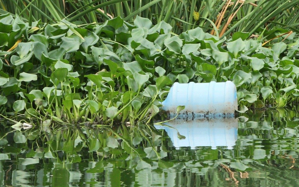 Vistoria técnica conjunta do Ministério Público Federal de São João de Meriti, coordenado pelo Procurador da República José Júlio Araújo, o Movimento Baía Viva e a Colônia de Pescadores de Duque de Caxias 