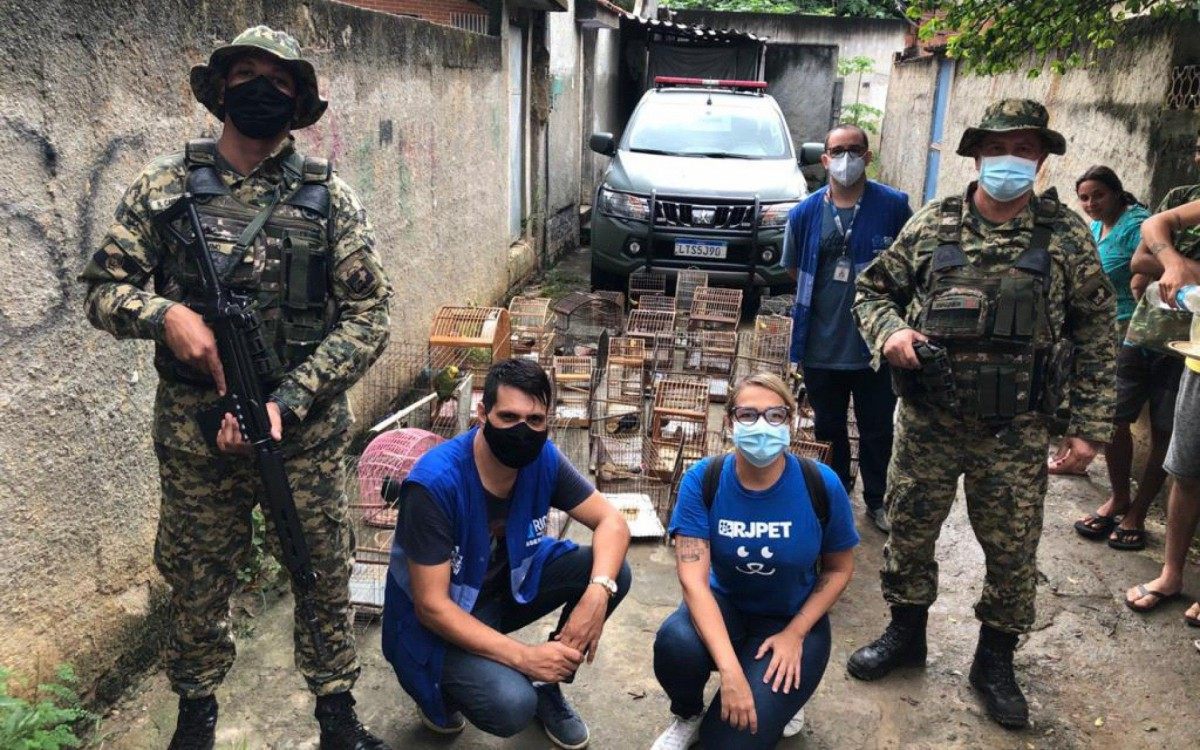 Aves silvestres e 30 cães são resgatados em uma casa em Irajá, na Zona Norte do Rio