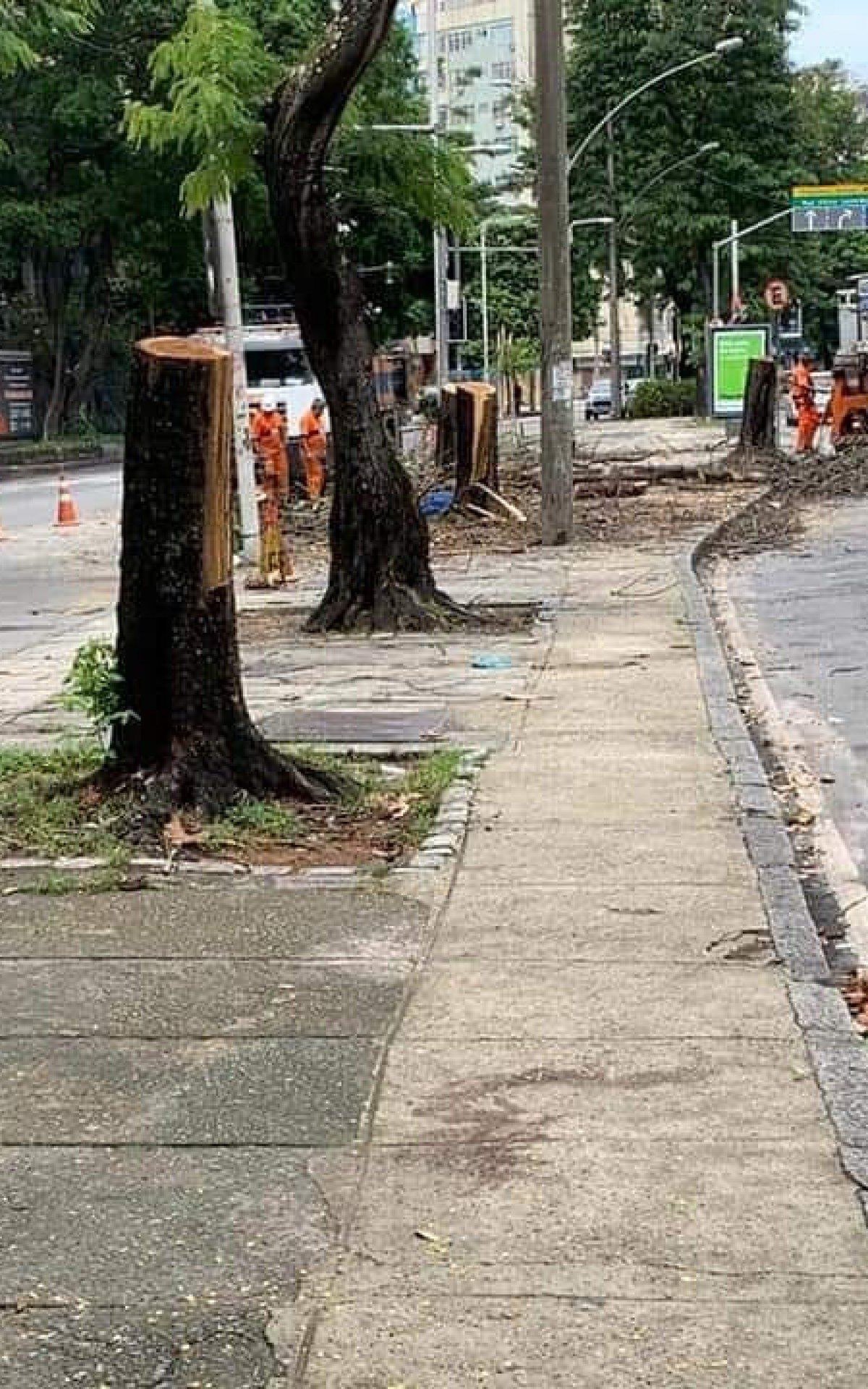 Árvores em grande quantidade estão sendo podadas no município do Rio de Janeiro - Reprodução