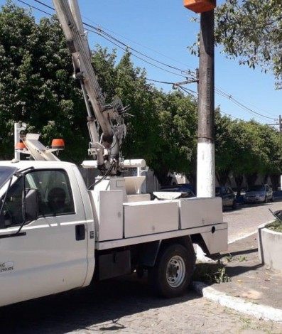 Magé disponibiliza serviço Disque-Abelhas