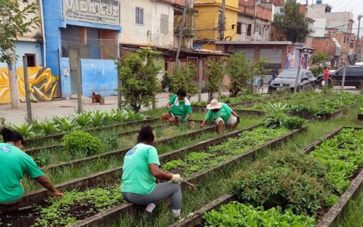 Horta emprega 21 pessoas da comunidade - Arquivo Pessoal