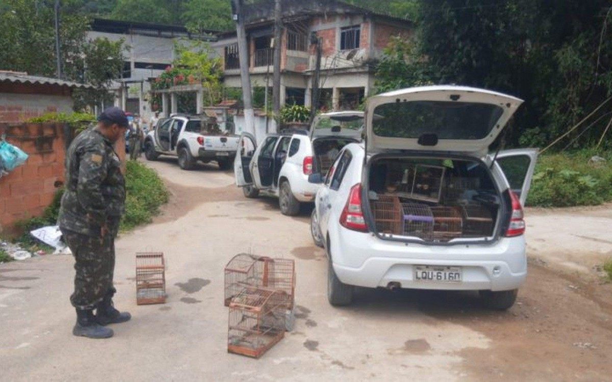 Ação contou com fiscais da Guarda Ambiental Municipal de Magé e do Inea e de policiais do 34 Batalhão de Polícia Militar