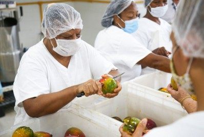 Produção agroindustrial recua 1,2% no primeiro semestre, diz FGV 