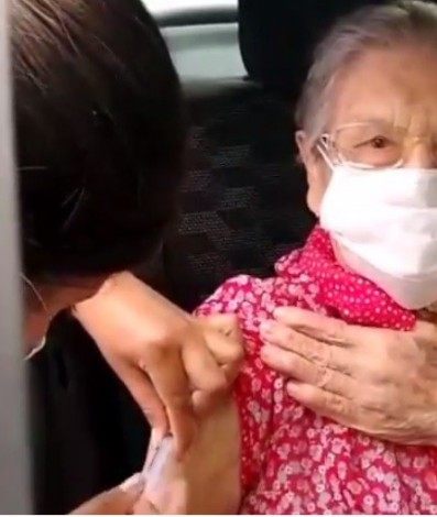 Palmirinha - Reprodução