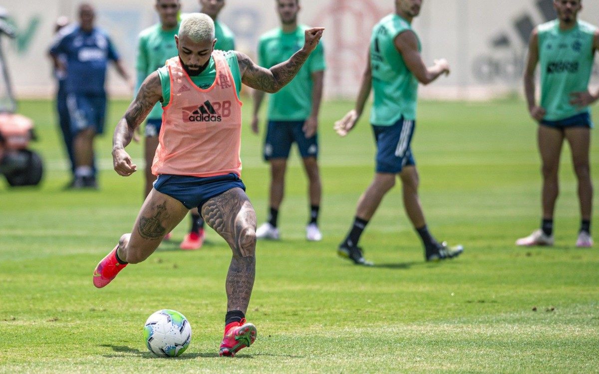 Gabigol - Marcelo Cortes / Flamengo