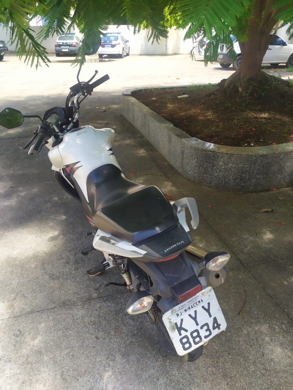 O fato foi apresentado à 135 DP. - Foto: divulgação