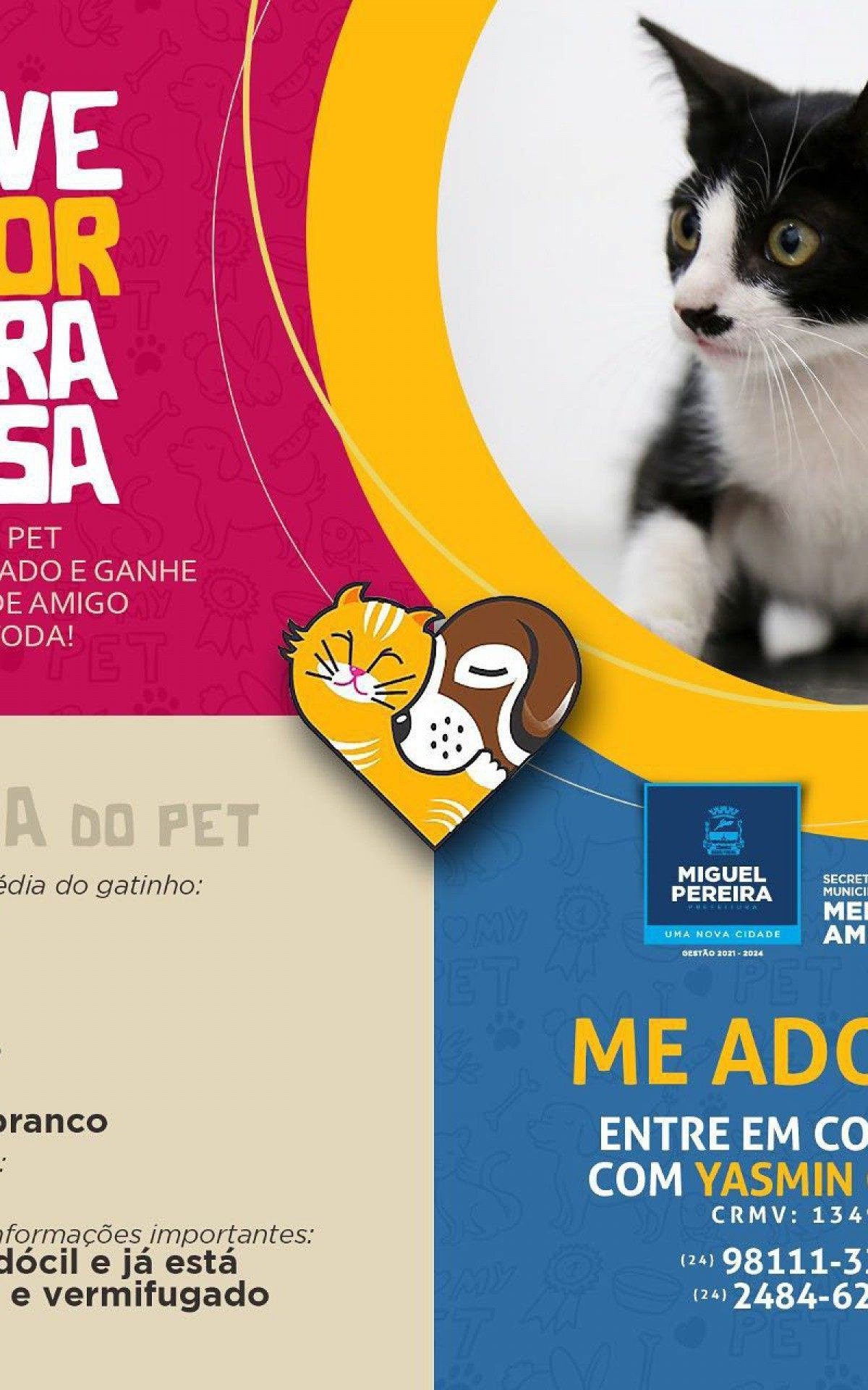 Confira os detalhes do bichinho