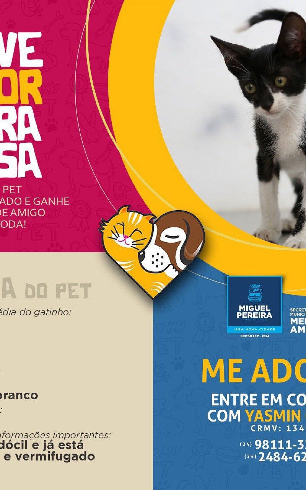 Confira os detalhes do bichinho