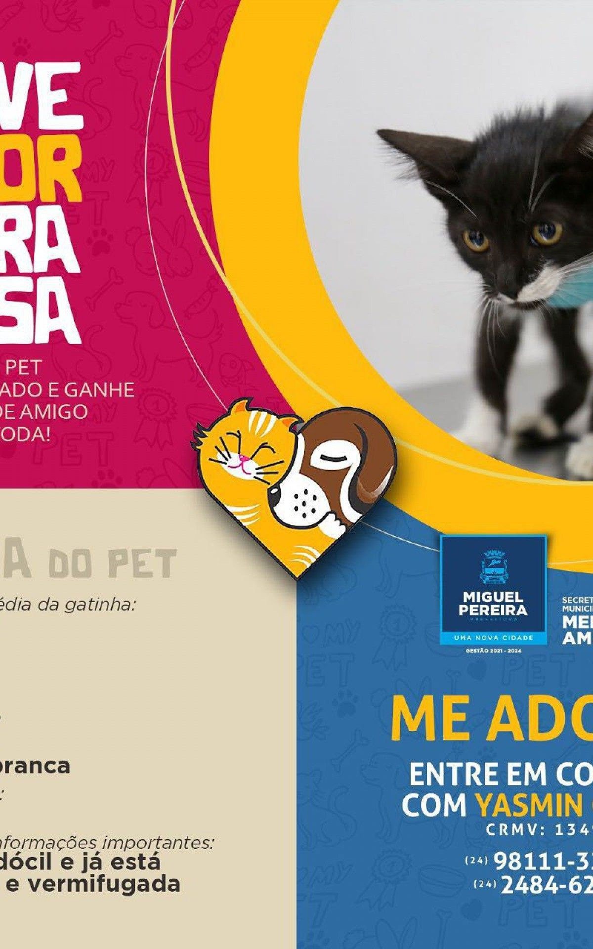 Confira os detalhes do bichinho