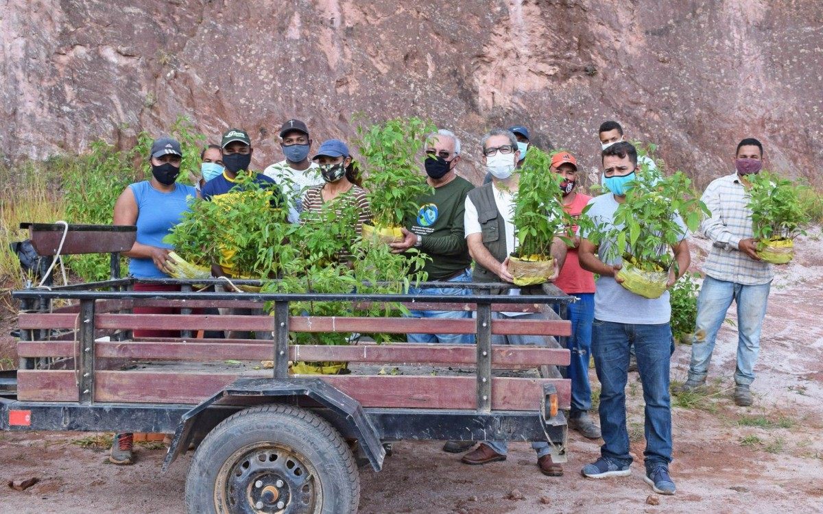 Equipe da secretaria de Meio Ambiente se mobilizou para a ação