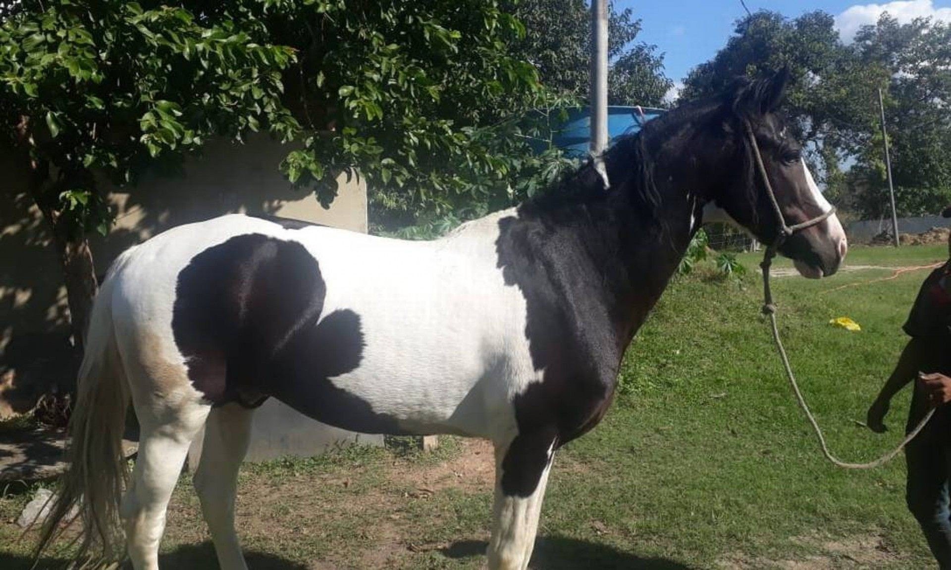 Lucro de extorsão 'financiou' fazenda de miliciano na Baixada