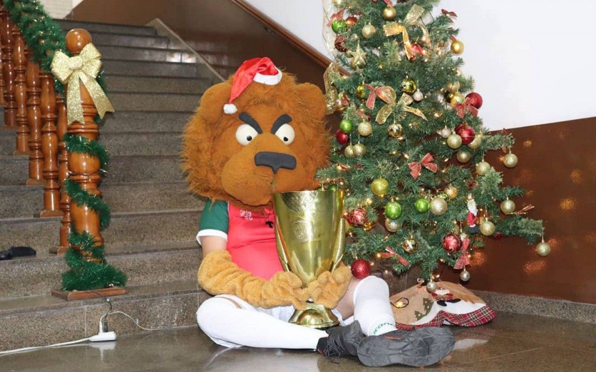 O Leão, tradicional mascote da Portuguesa, desapareceu do Canindé na sexta-feira - Divulgação/Portuguesa