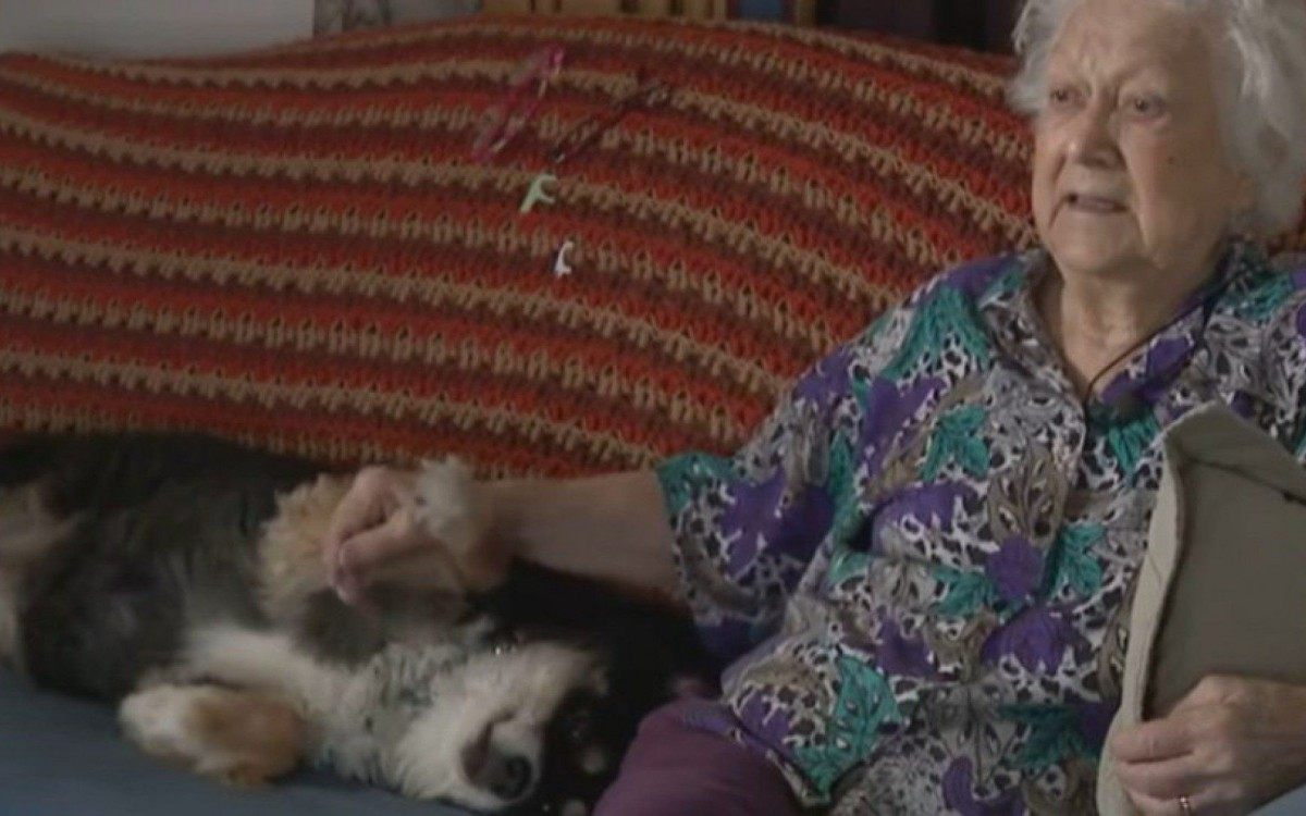 Homem deixa herança de R$ 26 milhões para sua cachorra