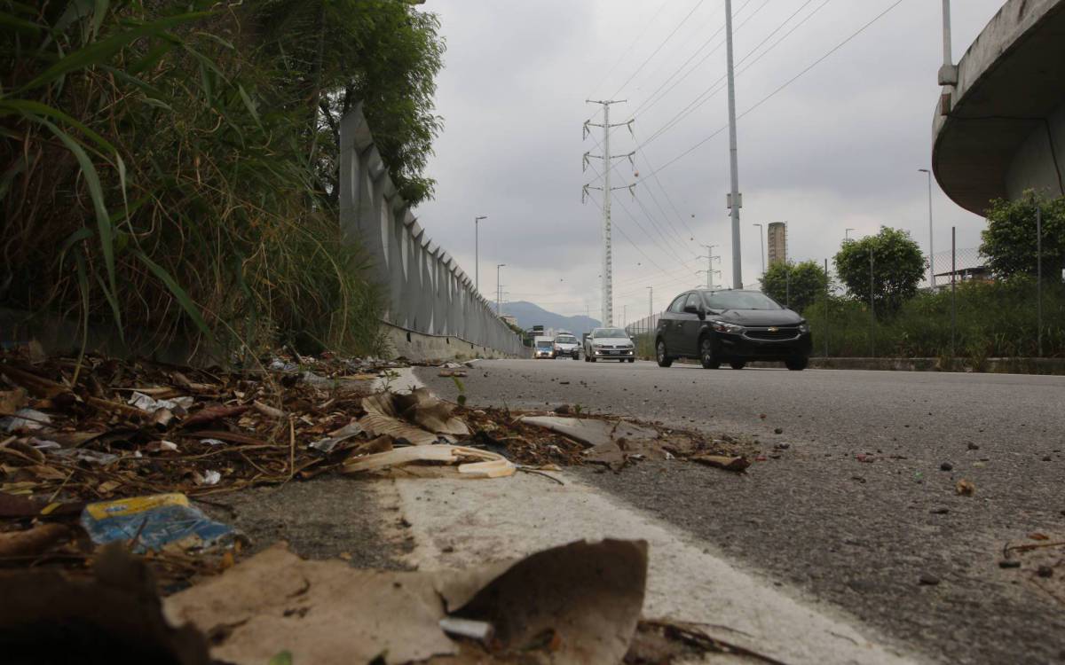 Geral - Prefeitura do Rio faz inventario de bens em edifício da ex-concessionaria Lamsa.A açao tem a participaçao de quatro secretarias do municipio, CET Rio, Comlurb e da Guarda Municipal. O grupo deve fazer o levantamento dos bens da concessionaria. Foi possivel ver algumas areas da via com lixo. Na foto, lixo na via