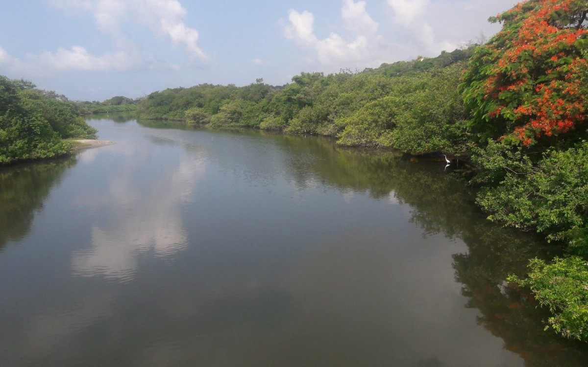 A Lagoa de Bambui - Foto: Arquivo MAIS