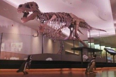 Pesquisadores descobrem nova espécie de dinossauro com mais de 15 metros