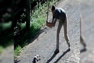 Rapaz é preso após matar cachorro a pancadas