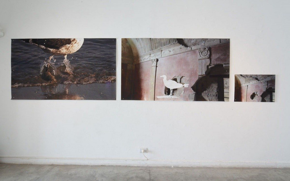 Exposições de Davy